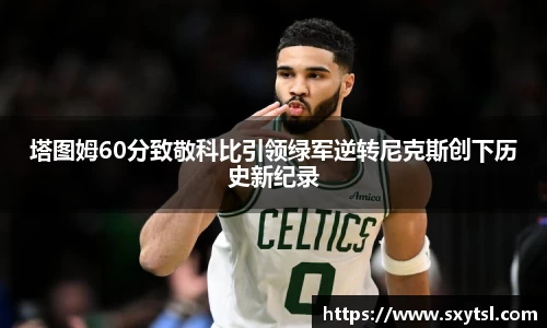 Mksport体育app官网入口