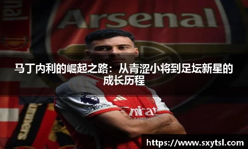 马丁内利的崛起之路：从青涩小将到足坛新星的成长历程