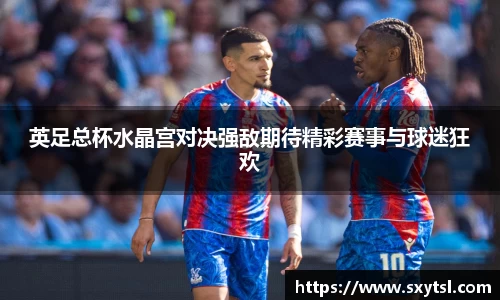 英足总杯水晶宫对决强敌期待精彩赛事与球迷狂欢