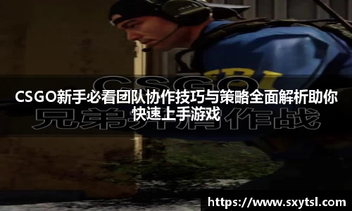 mksport体育