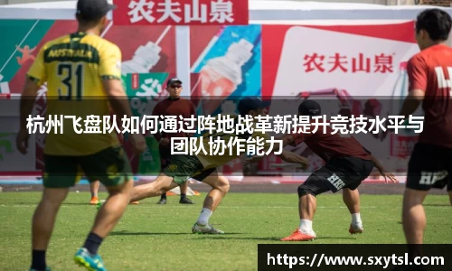 杭州飞盘队如何通过阵地战革新提升竞技水平与团队协作能力