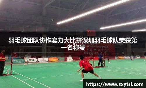 羽毛球团队协作实力大比拼深圳羽毛球队荣获第一名称号
