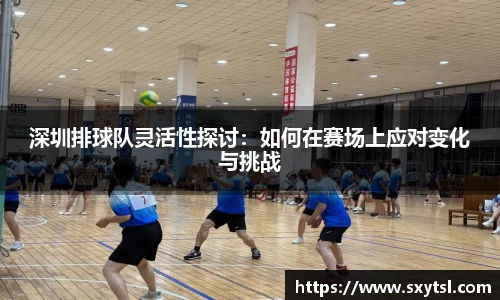 深圳排球队灵活性探讨：如何在赛场上应对变化与挑战