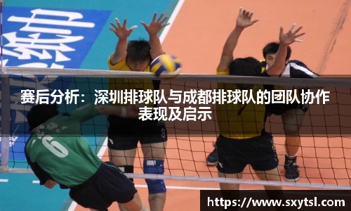赛后分析：深圳排球队与成都排球队的团队协作表现及启示