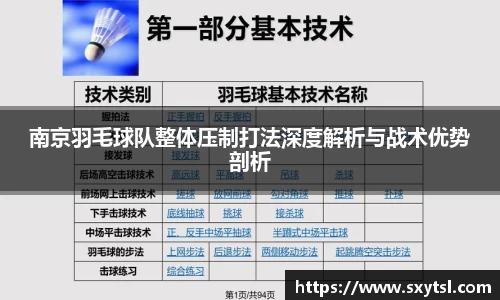 南京羽毛球队整体压制打法深度解析与战术优势剖析