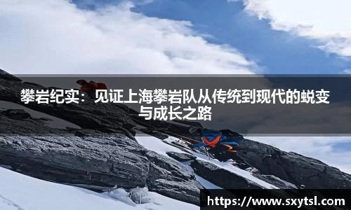 Mksport体育app官网入口